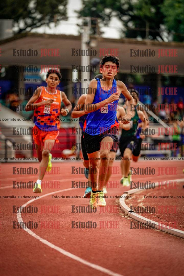Fotos de los 800 m de varones