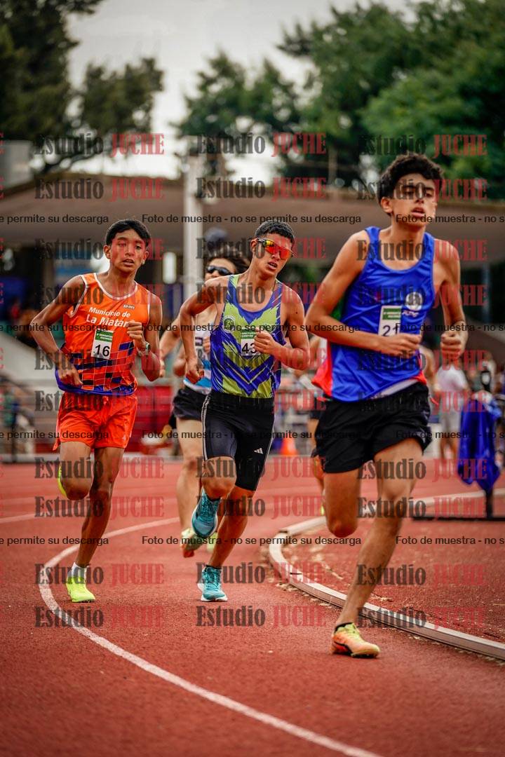 Fotos de los 800 m de varones