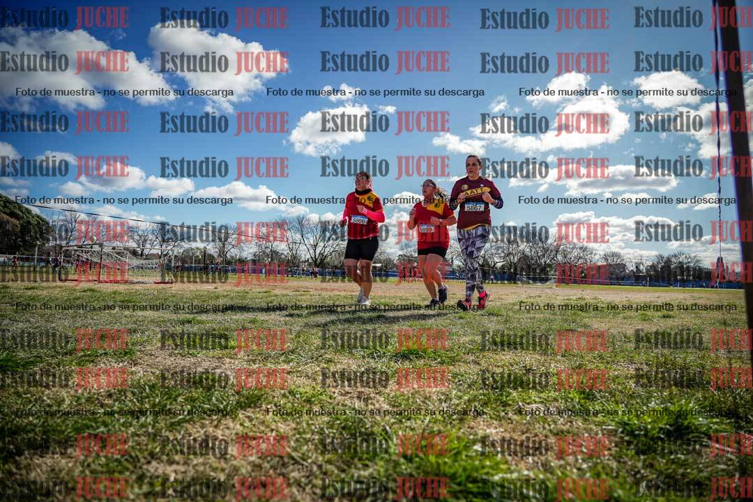 Fotos en el circuito