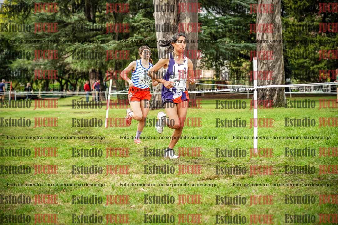 Fotos en el circuito