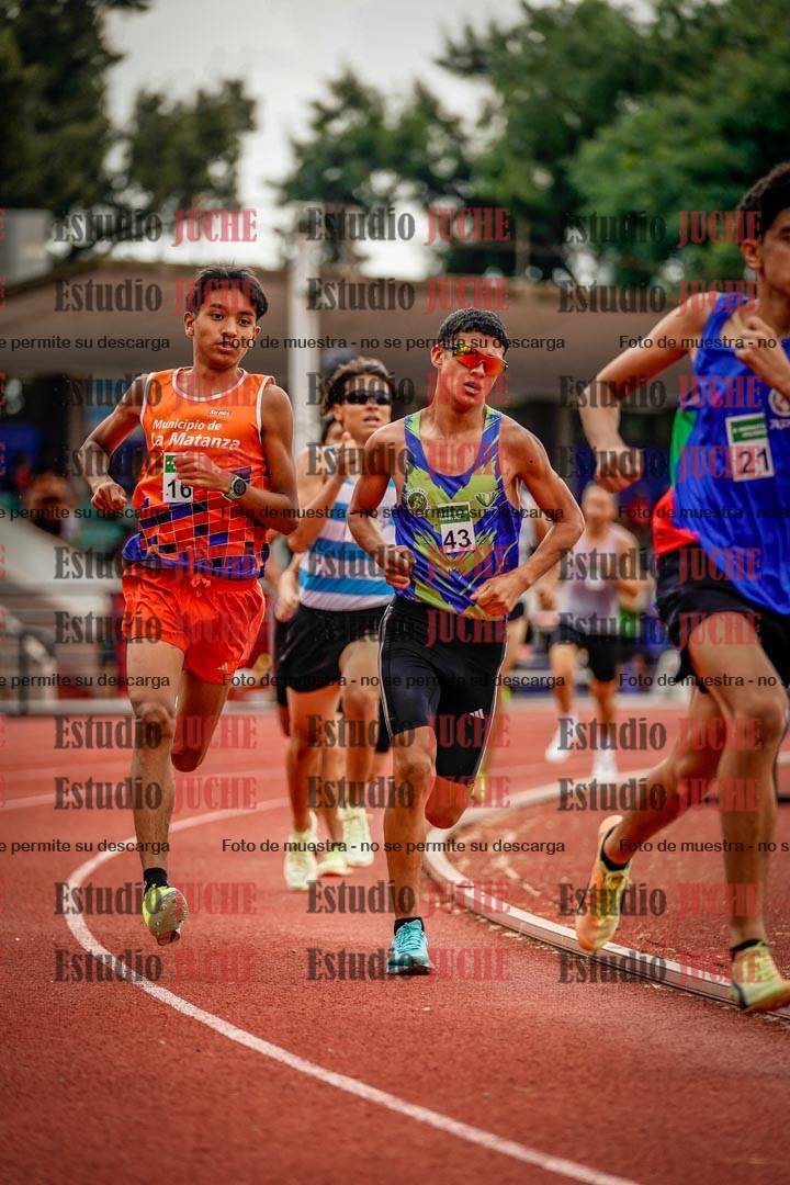 Fotos de los 800 m de varones