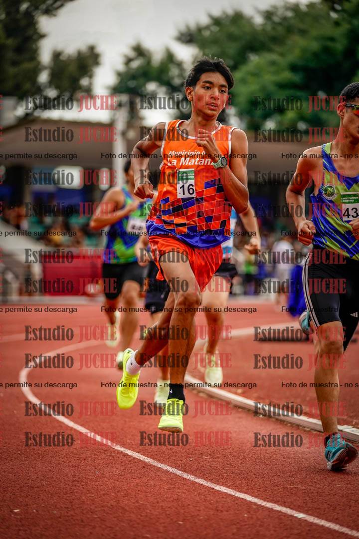 Fotos de los 800 m de varones