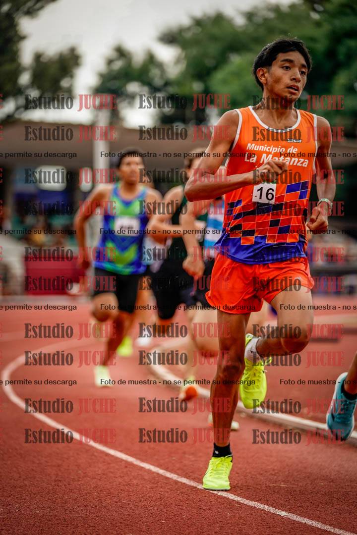 Fotos de los 800 m de varones