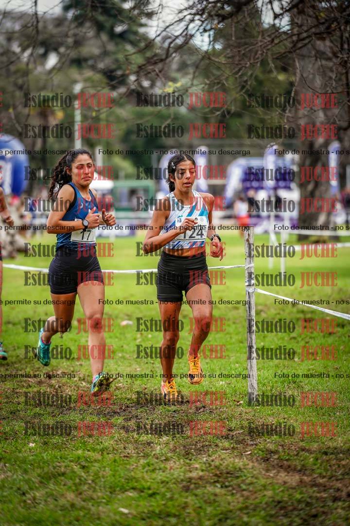 Fotos en el circuito