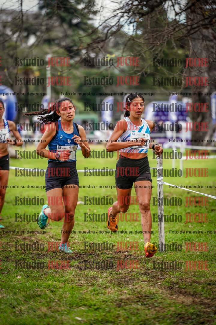 Fotos en el circuito