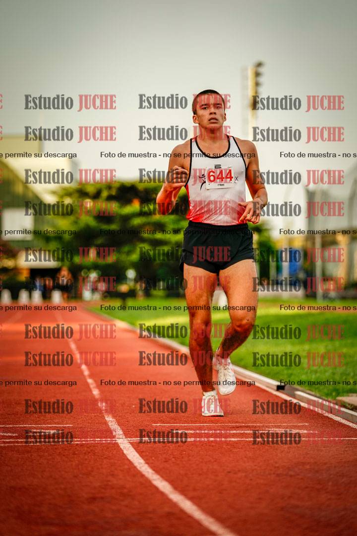 Fotos de los 1500 m llanos de varones