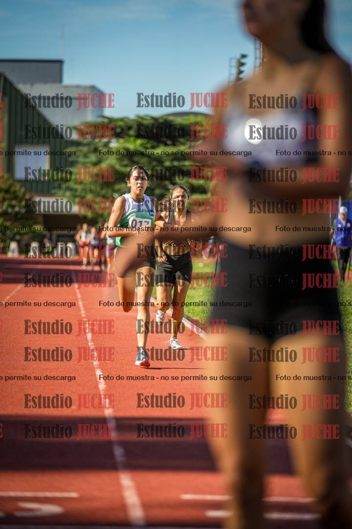 Fotos de los 1500 m llanos de mujeres