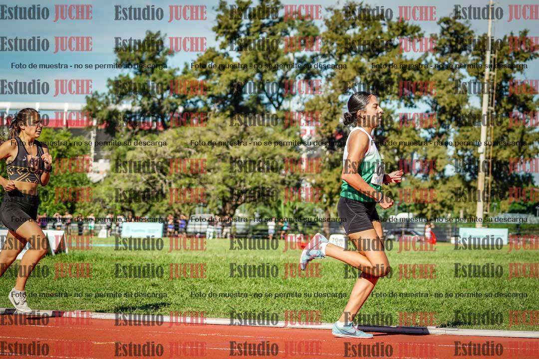 Fotos de los 1500 m llanos de mujeres