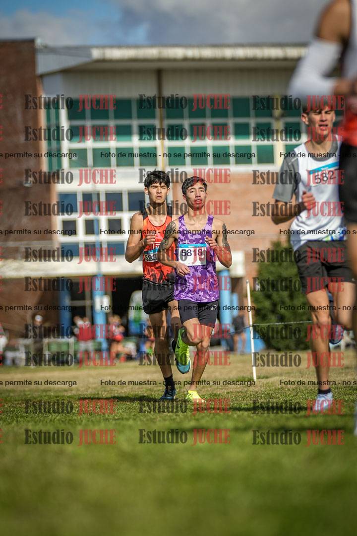 Fotos en el circuito
