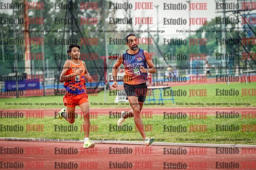 Fotos de los 800 m de varones