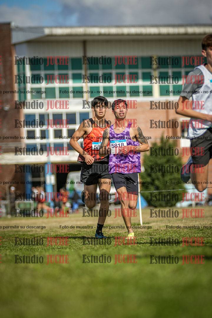 Fotos en el circuito