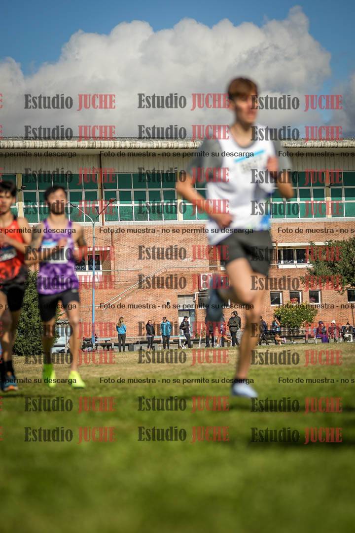 Fotos en el circuito