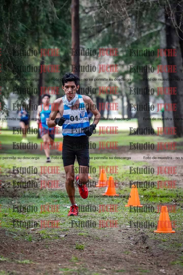 Fotos en el circuito