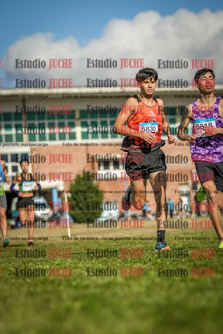 Fotos en el circuito
