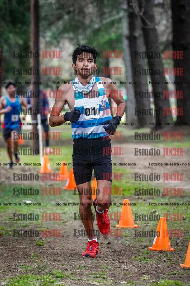 Fotos en el circuito