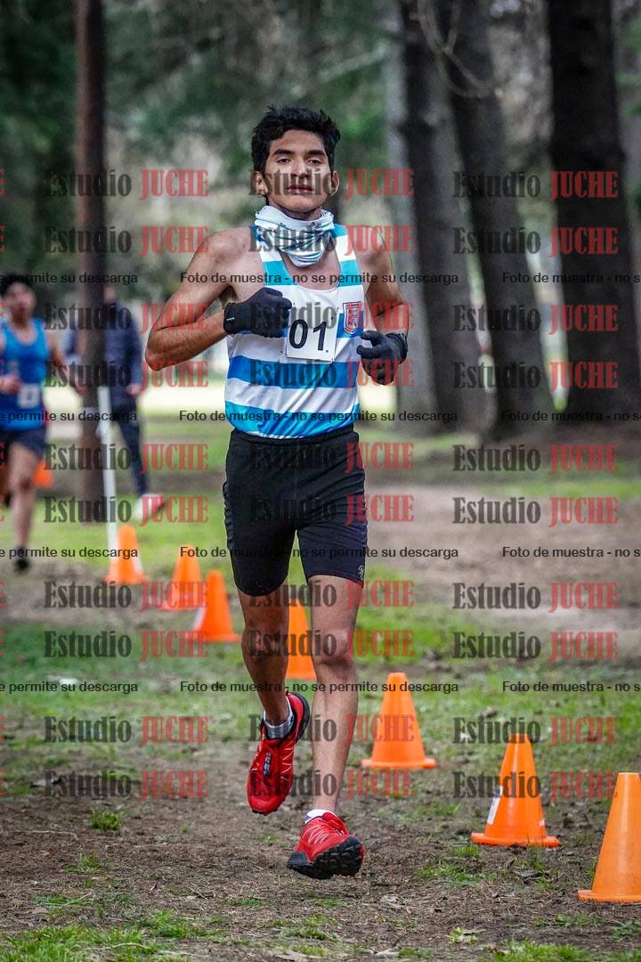 Fotos en el circuito