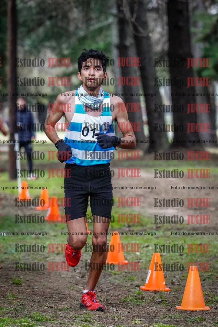 Fotos en el circuito