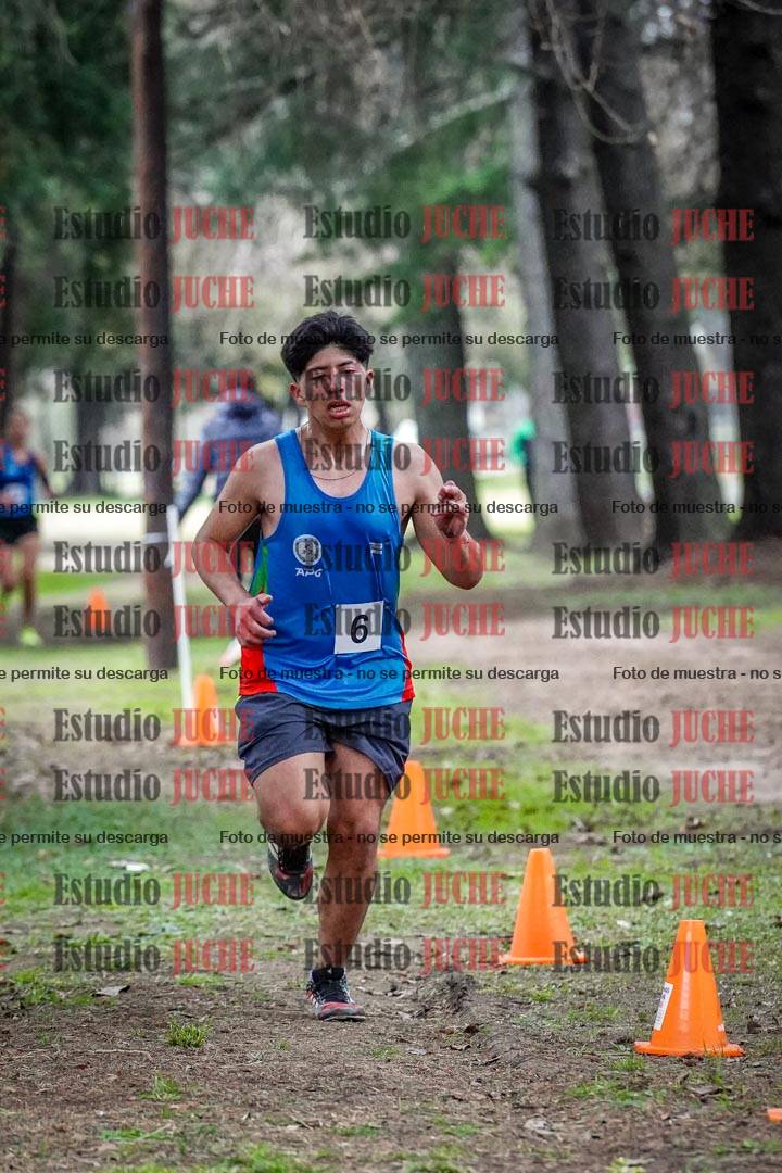 Fotos en el circuito