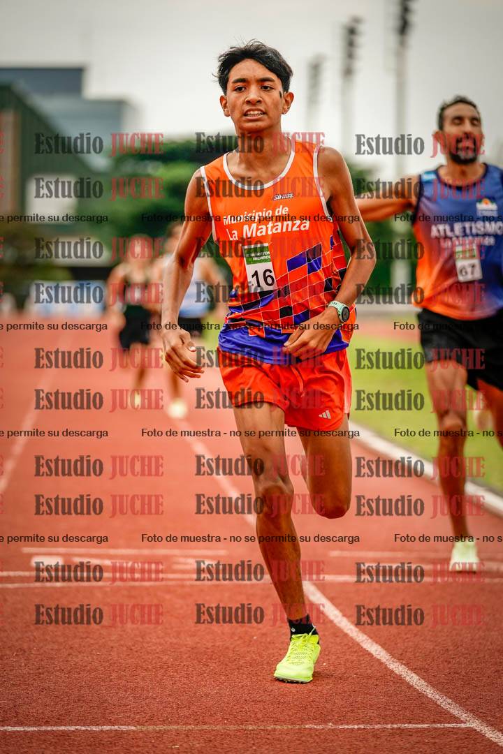 Fotos de los 800 m de varones