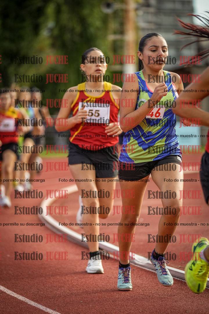 Fotos de los 1500 m llanos de mujeres
