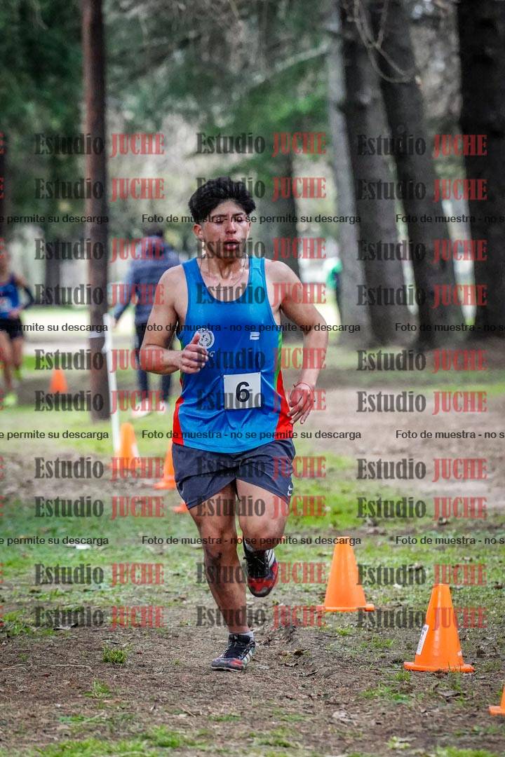Fotos en el circuito