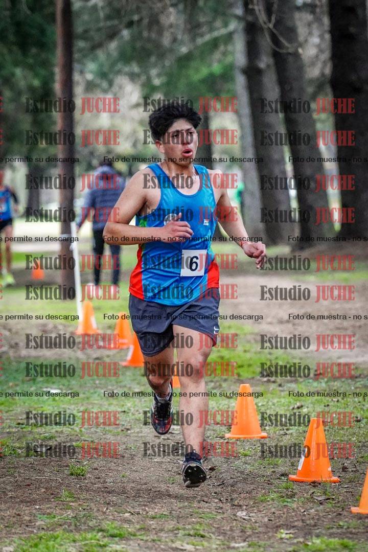 Fotos en el circuito