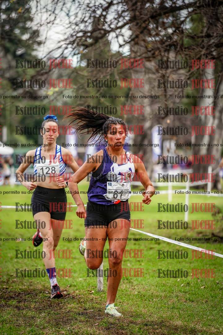 Fotos en el circuito