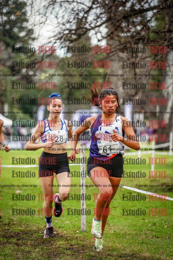 Fotos en el circuito