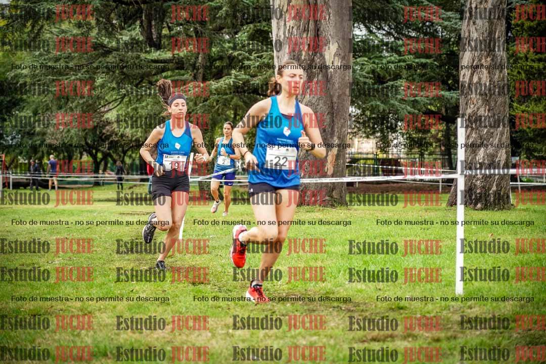 Fotos en el circuito