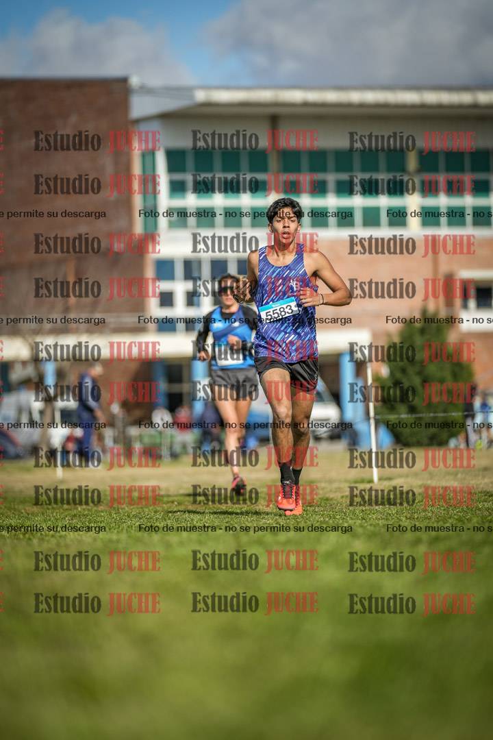 Fotos en el circuito