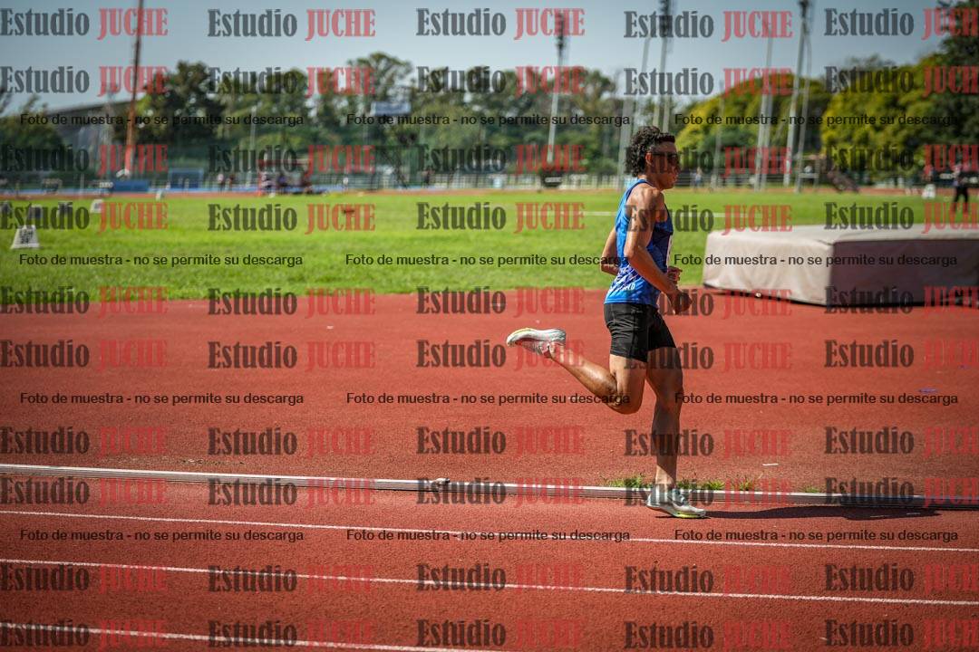 Fotos de los 800 m llanos de varones
