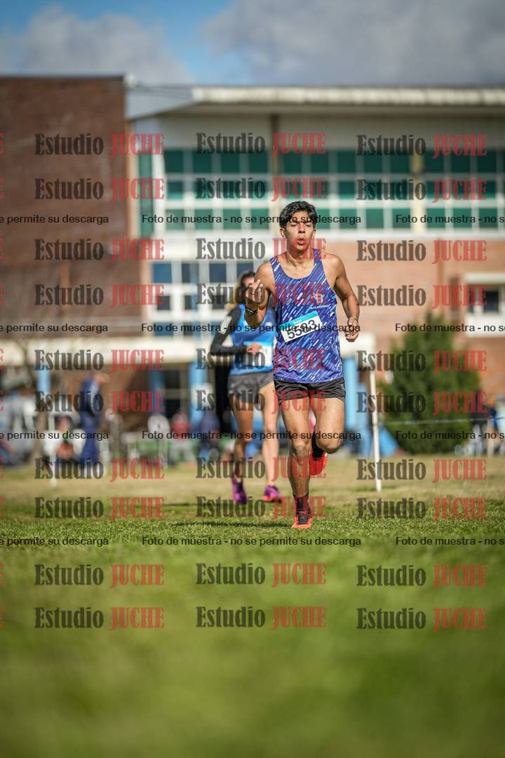 Fotos en el circuito