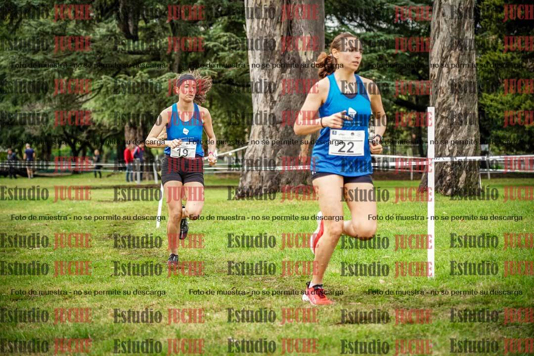 Fotos en el circuito