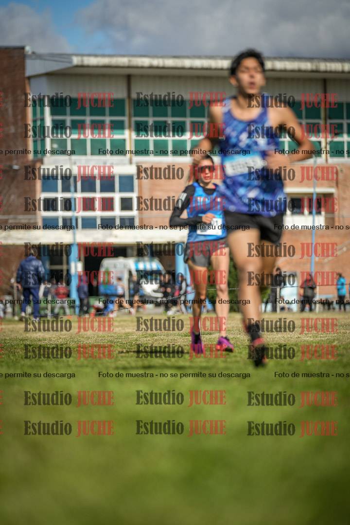 Fotos en el circuito