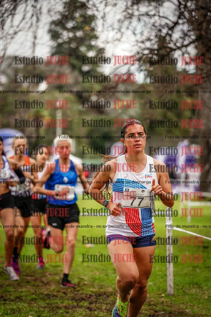 Fotos en el circuito