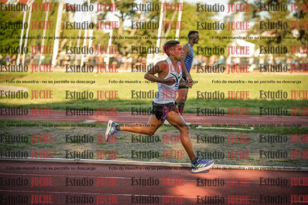 Fotos de los 3000 m llanos de varones