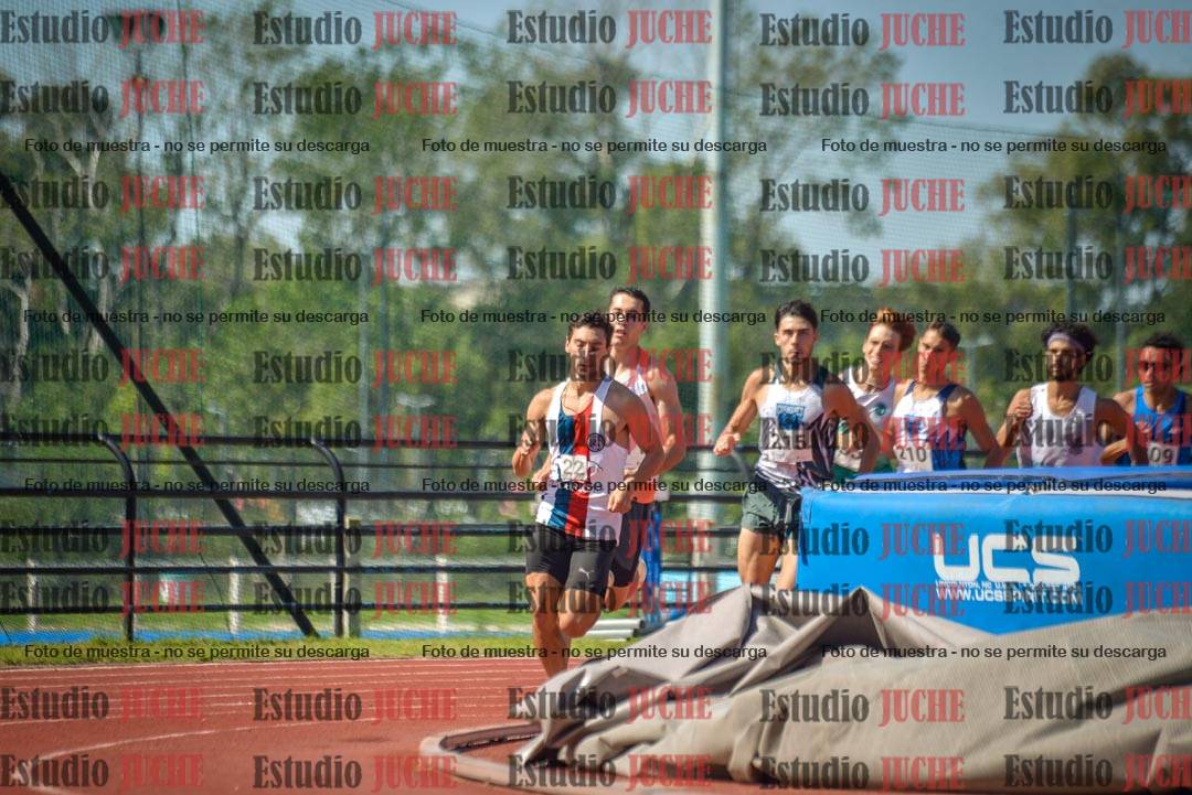 Fotos de los 800 m llanos de varones