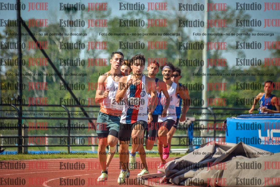 Fotos de los 800 m llanos de varones