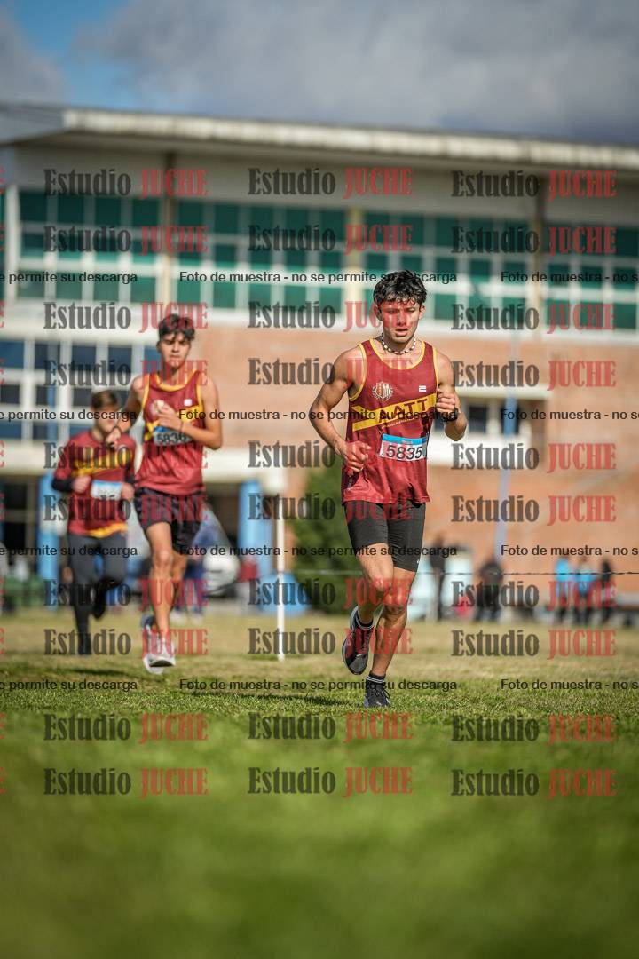 Fotos en el circuito