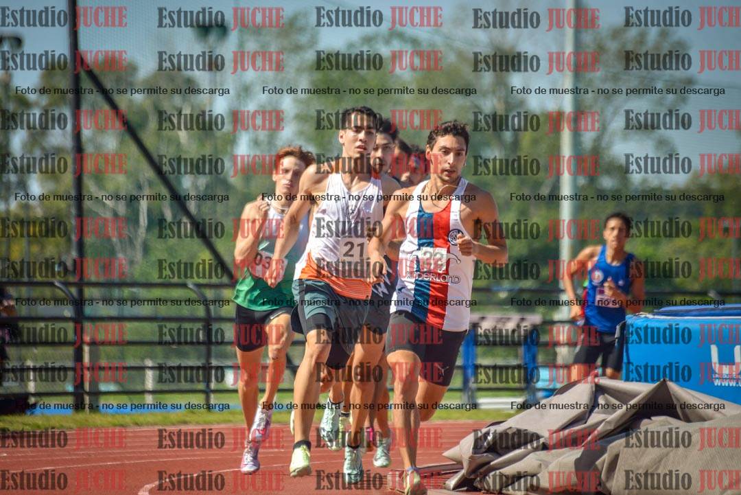 Fotos de los 800 m llanos de varones