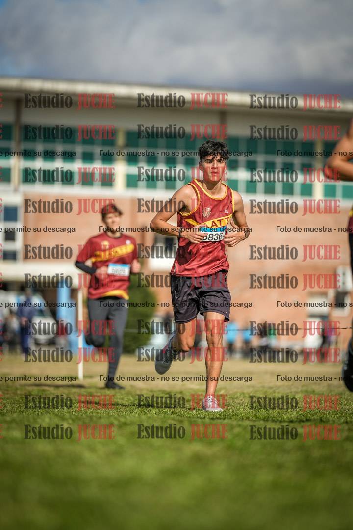 Fotos en el circuito