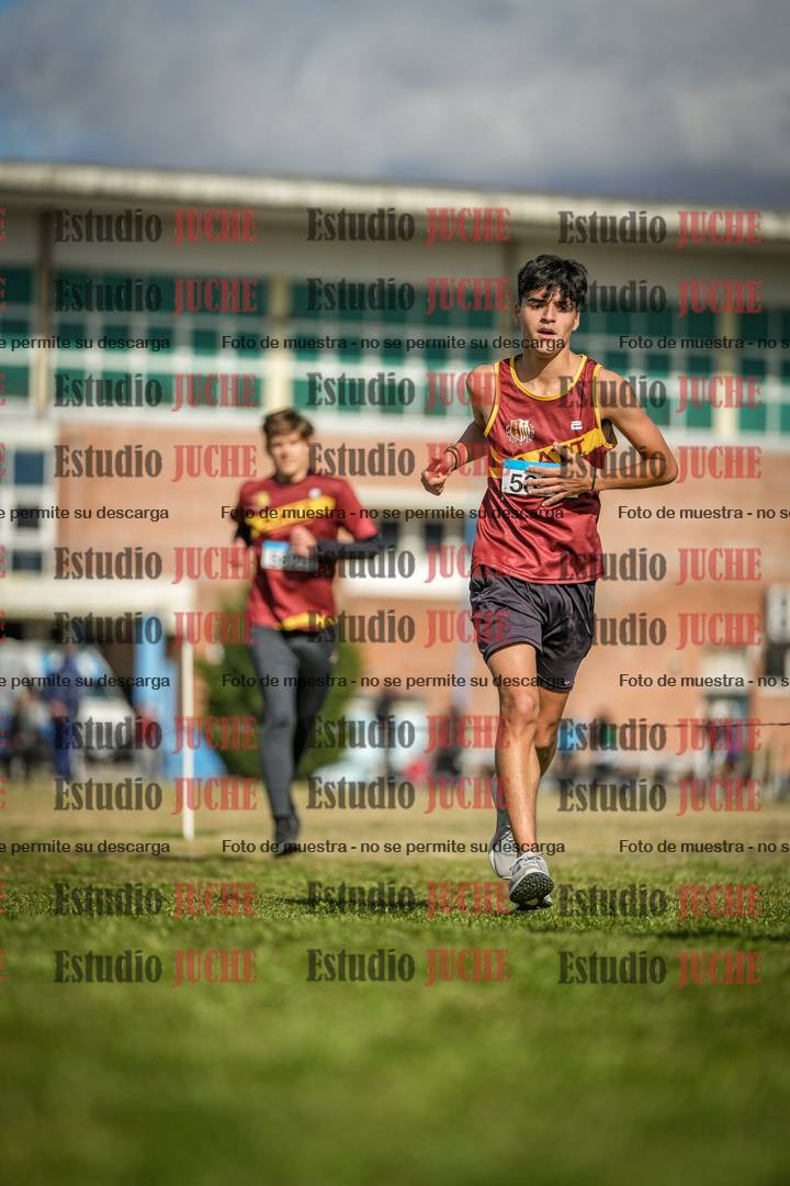 Fotos en el circuito