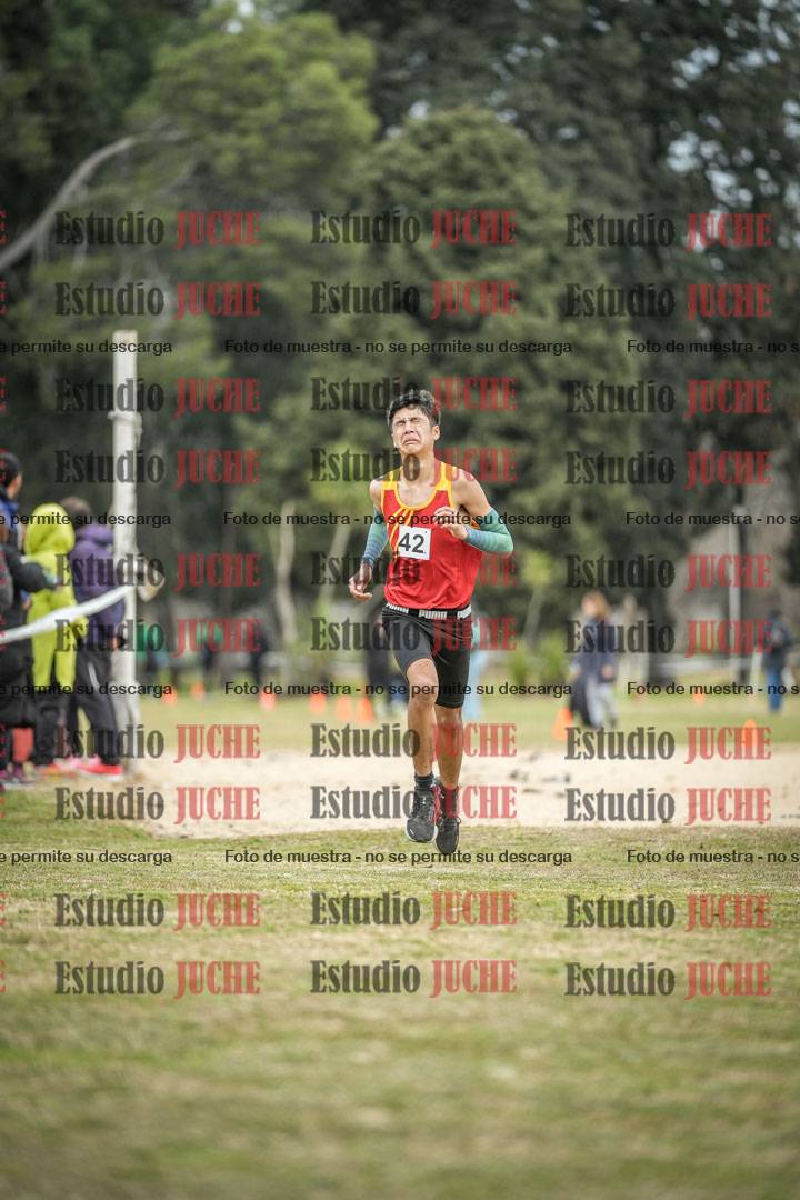 Fotos de la llegada