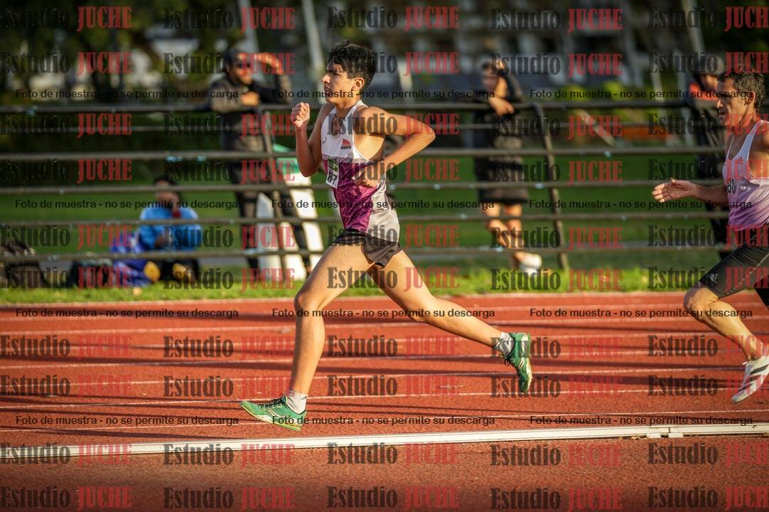 Fotos de los 3000 m llanos de varones
