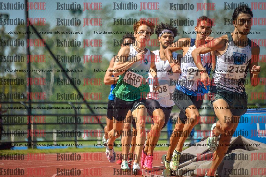 Fotos de los 800 m llanos de varones