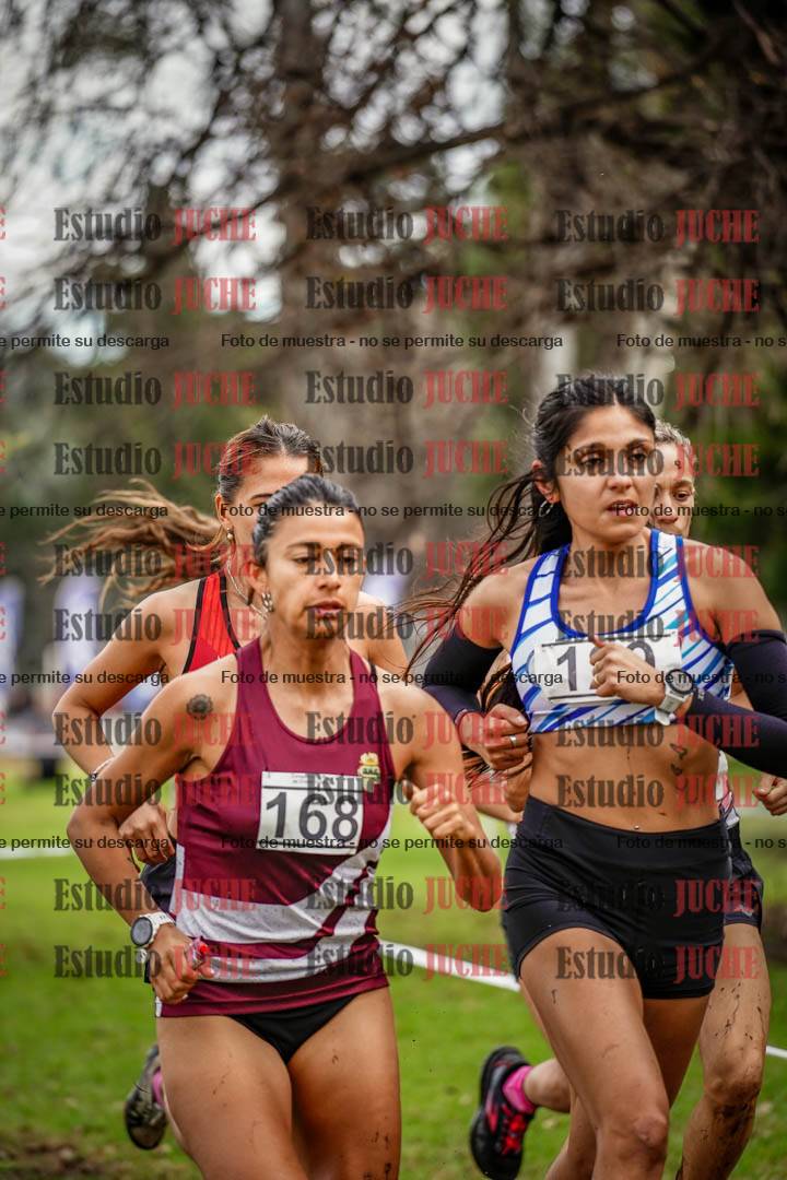 Fotos en el circuito