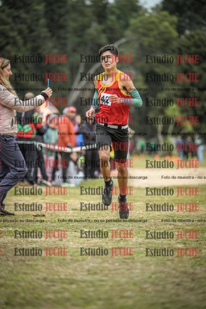 Fotos de la llegada