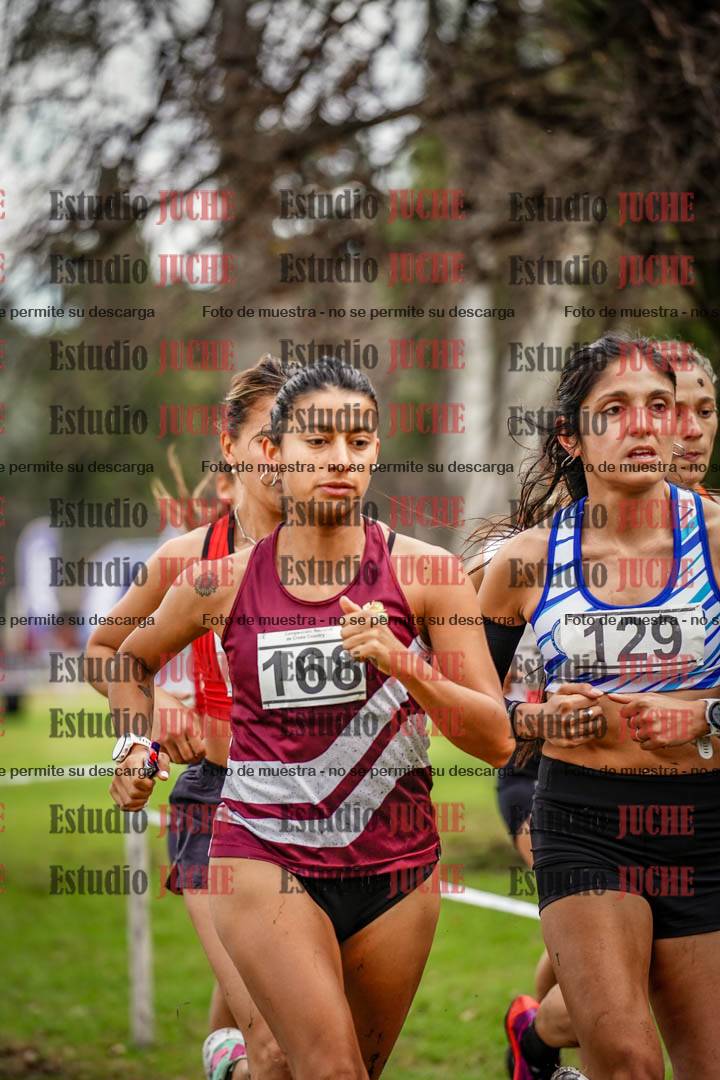Fotos en el circuito
