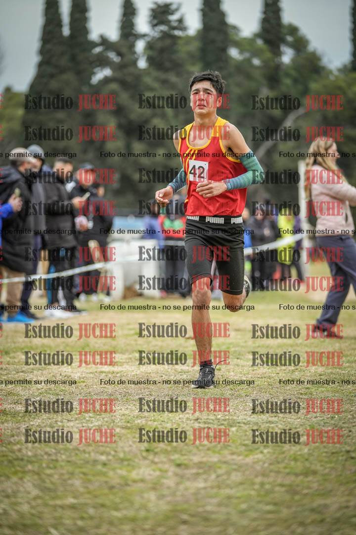 Fotos de la llegada