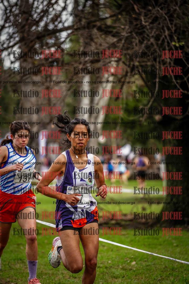 Fotos en el circuito